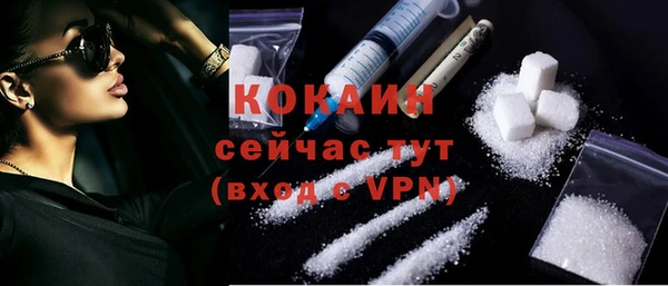 дживик Инсар