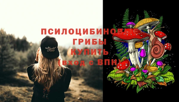 марки lsd Зерноград