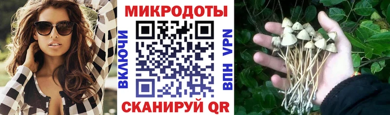 Галлюциногенные грибы прущие грибы  Купить где  Невель 